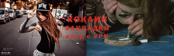 стаф Алексин