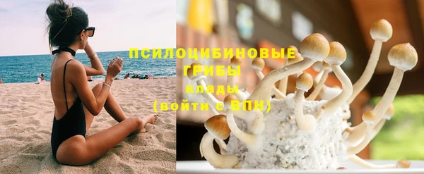 дурь Абдулино