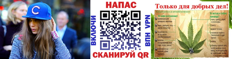 Канабис конопля цена Сольвычегодск